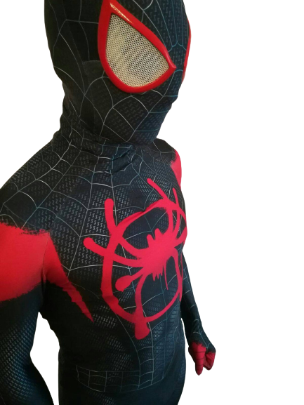 Gants de luxe Spiderman Costume de Spiderman Déguisement Super Héros -  29/01/2024