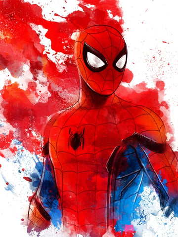  Tableau Spider-man Héro
